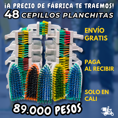 Promo 48 Cepillos planchitas de cerdas duras